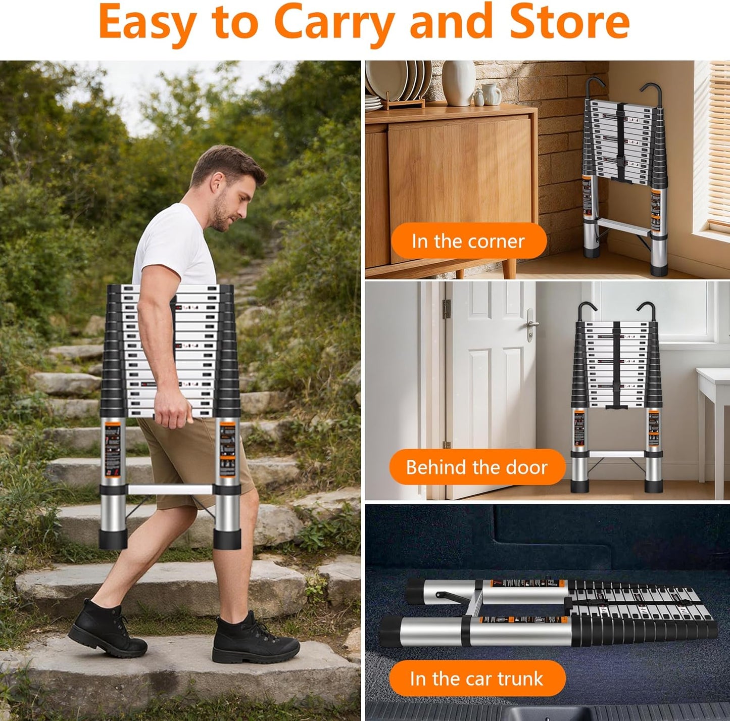 Telescoping Ladder™